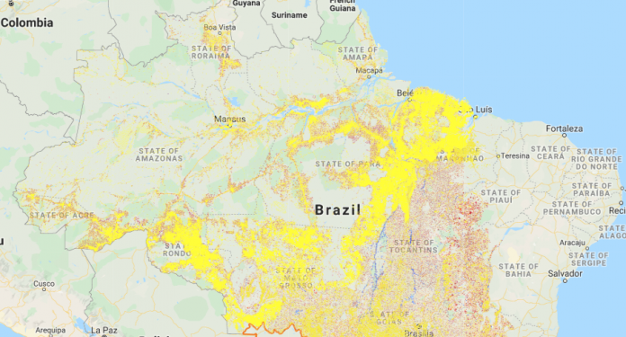 Desmatamento da Amazônia bate recorde em novembro