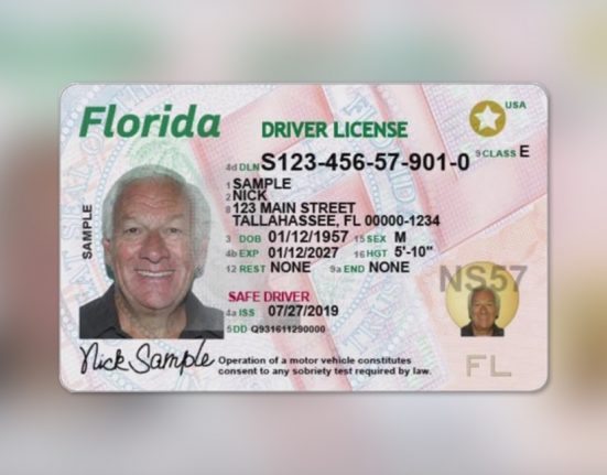 Se sua carteira de motorista ou identidade estadual tiver uma estrela no canto superior direito, você já possui um Real ID e não precisa fazer mais nada (Foto: Florida Department of Highway Safety and Motor Vehicles)