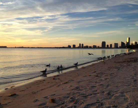 A polícia de Key Biscayne cobriu os restos mortais com uma lona azul e isolou uma parte da praia com fita amarela de cena de crime (Foto: wsvn.com)