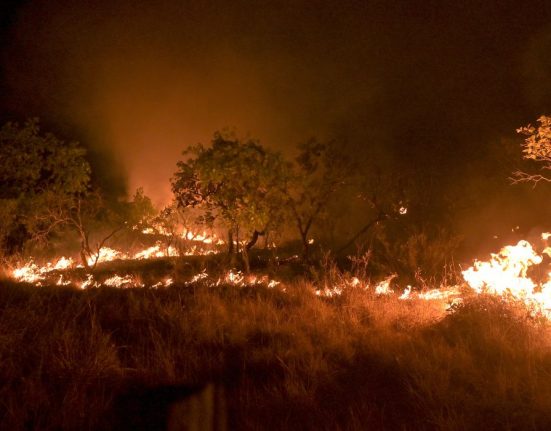 A queda no desmatamento na Amazônia foi a principal razão para a redução das emissões (Foto: Jader Souza/AL Roraima)