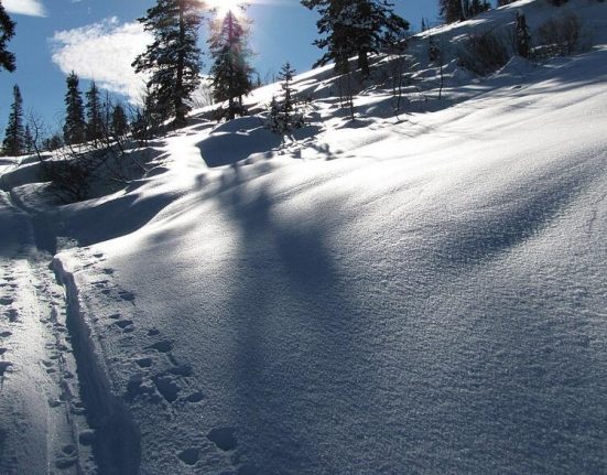 O Centro de Avalanches de Utah alertou que outros deslizamentos poderão ocorrer nos próximos dias nas montanhas da região (Foto: Intermountain Forest Service/Wikimedia)