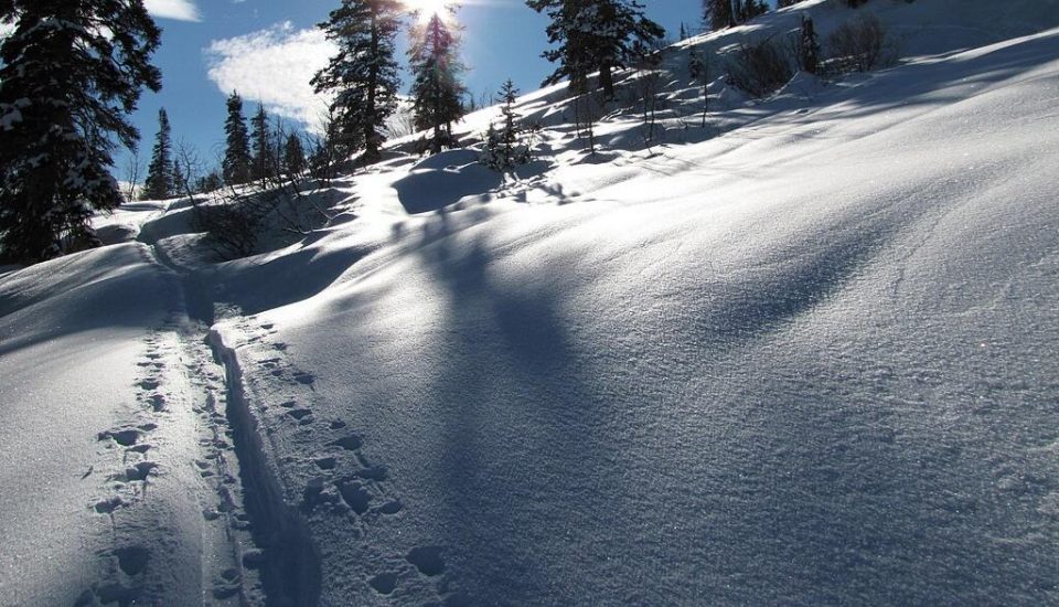 O Centro de Avalanches de Utah alertou que outros deslizamentos poderão ocorrer nos próximos dias nas montanhas da região (Foto: Intermountain Forest Service/Wikimedia)