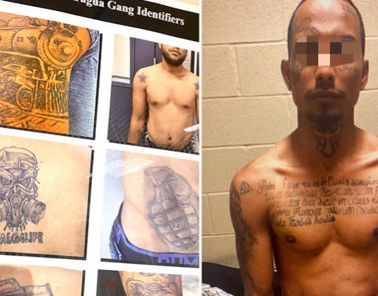 Estas imagens de um boletim de inteligência da Alfândega e Proteção de Fronteiras mostram tatuagens e identificadores do Tren De Aragua (Foto: CBP)