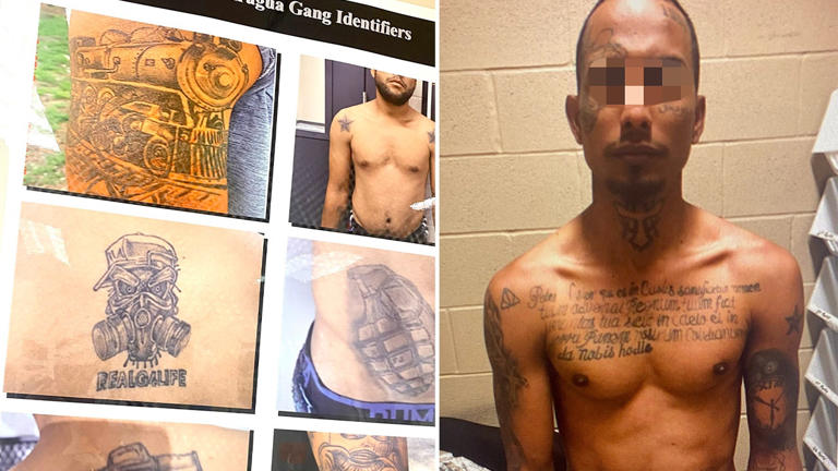 Estas imagens de um boletim de inteligência da Alfândega e Proteção de Fronteiras mostram tatuagens e identificadores do Tren De Aragua (Foto: CBP)