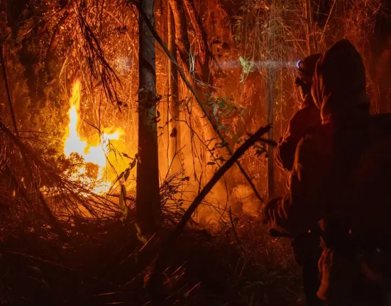 O estado mais atingido pelo fogo no ano passado foi o Pará, seguido de Mato Grosso e do Tocantins, com 7,3 milhões, 6,8 milhões e 2,7 milhões de hectares de área queimada, respectivamente (Foto: Agência Santarém)