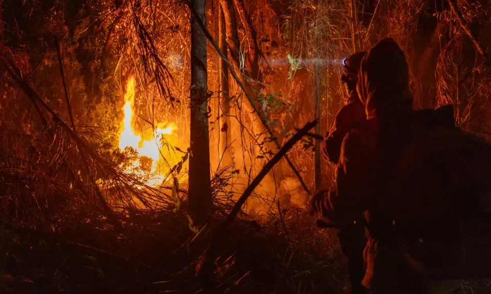 O estado mais atingido pelo fogo no ano passado foi o Pará, seguido de Mato Grosso e do Tocantins, com 7,3 milhões, 6,8 milhões e 2,7 milhões de hectares de área queimada, respectivamente (Foto: Agência Santarém)